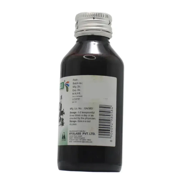 AYULABS PVT LTD Fizzle Syrup - Ayulabs - 100Ml