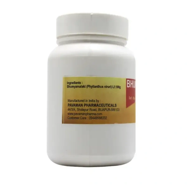 PAVAMAN Bhumyamalaki Churna - Pavaman - 100g