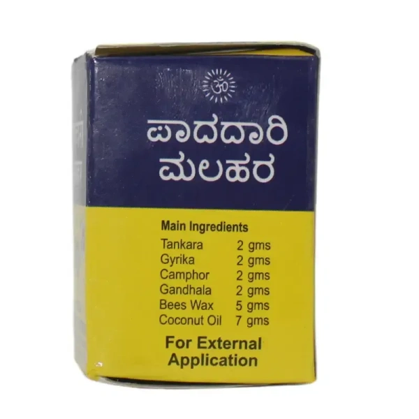 ANCHAN AYURVEDICS Padadari Malahara - Anchan - 20Gm