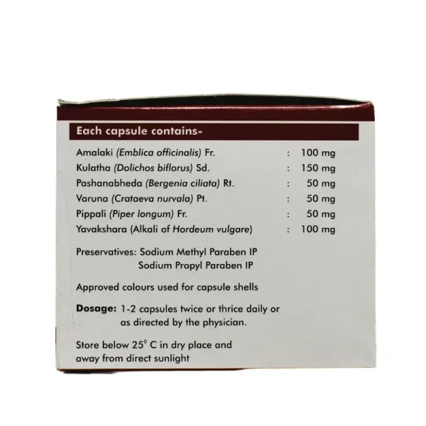 SAGAR PHARMACEUTICAL Rensol - Sagar  - 120Capsule