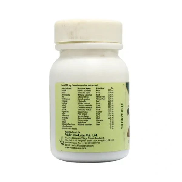 VEDIC BIO LABS PVT L Vedic Guard Capsule - Vedic  - 30 Capsules