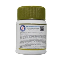 SHREE DHOOTAPAPESHWAR Avipattikar Churna Vati - Shree Dhootapapeshwar - 60 Tablets