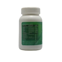 KAYASHAKTHI HERBAL  K Septonorm Tablets - Kayashakti - 60Tablets