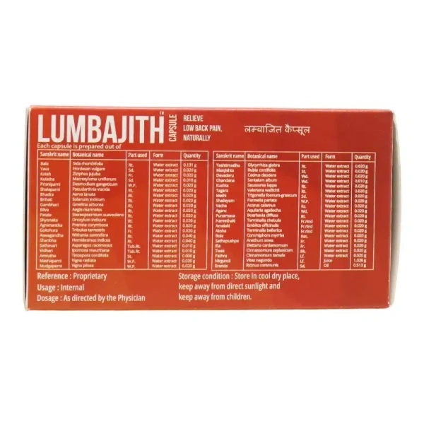 THE ARYA VAIDYA PHARMACY Lumbajith Capsule - AVP - 100 Capsules