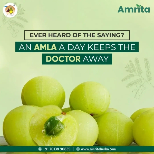 AMRITA DRUGS  Amla Churna  - Amrita - 100Gm