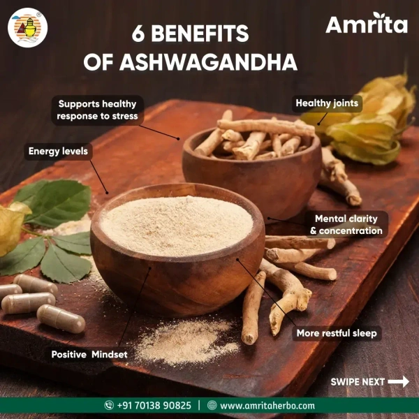 AMRITA DRUGS  Ashwagandha Churna - Amrita - 100Gm