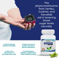 RAJASTHAN HERBALS  Sugagen Capsule - Rajasthan - 30 Capsules