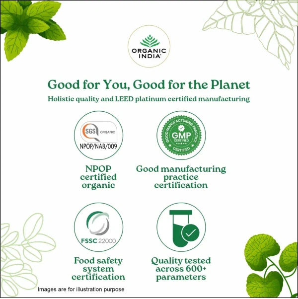 ORGANIC INDIA Tulsi Lemon Ginger - Organic - 25 Bags