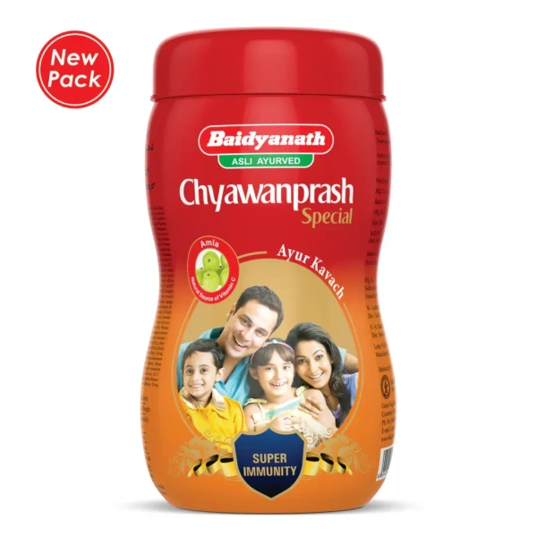 BAIDYANATH  Chyawanprash Special - Baidyanath - 250g