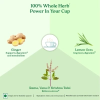 ORGANIC INDIA Tulsi Lemon Ginger - Organic - 25 Bags