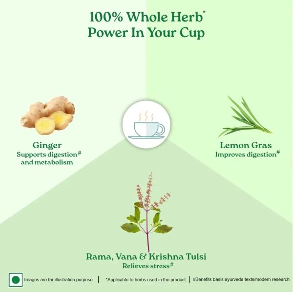 ORGANIC INDIA Tulsi Lemon Ginger - Organic - 25 Bags