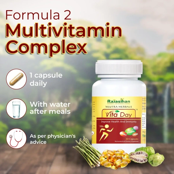 RAJASTHAN HERBALS  Vita Day Capsule - Rajasthan - 60 Capsules