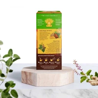 ORGANIC INDIA Tulsi Ginger Turmeric - Organic - 25Bags
