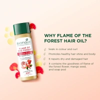 BIOTIQUE Flame Of The Forest Hair Oil - Biotique - 120ml
