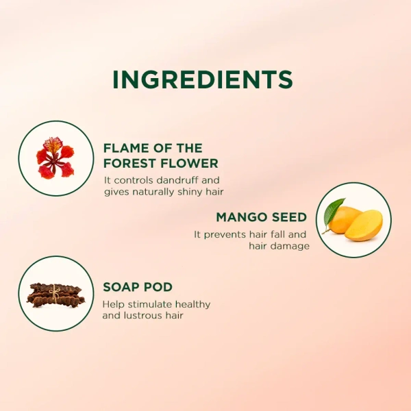 BIOTIQUE Flame Of The Forest Hair Oil - Biotique - 120ml