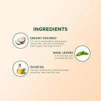 BIOTIQUE Creamy coconut deep nourish body lotion - Biotique - 300ml