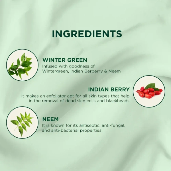 BIOTIQUE Winter Green cream - Biotique - 15gm