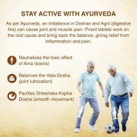 MAHARISHI AYURVEDA  Pirant Tablet - Maharishi - 60Tablets