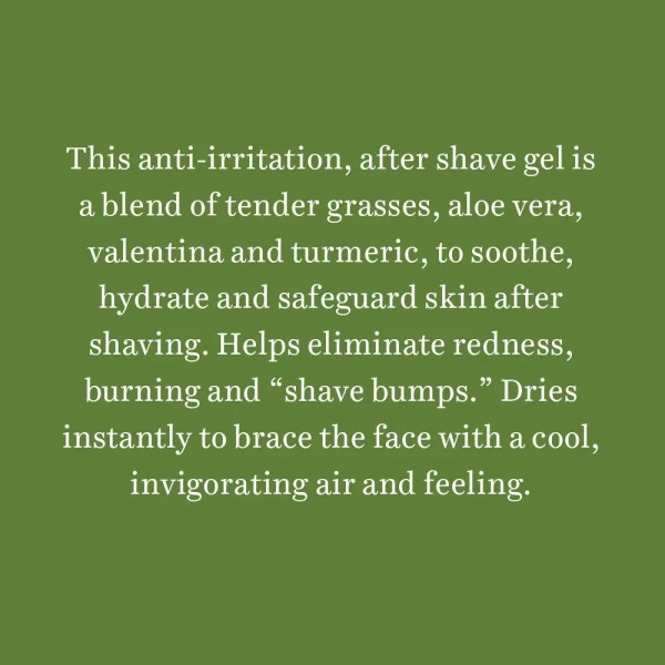 BIOTIQUE Wild grass after shave gel for men - Biotique - 120ml