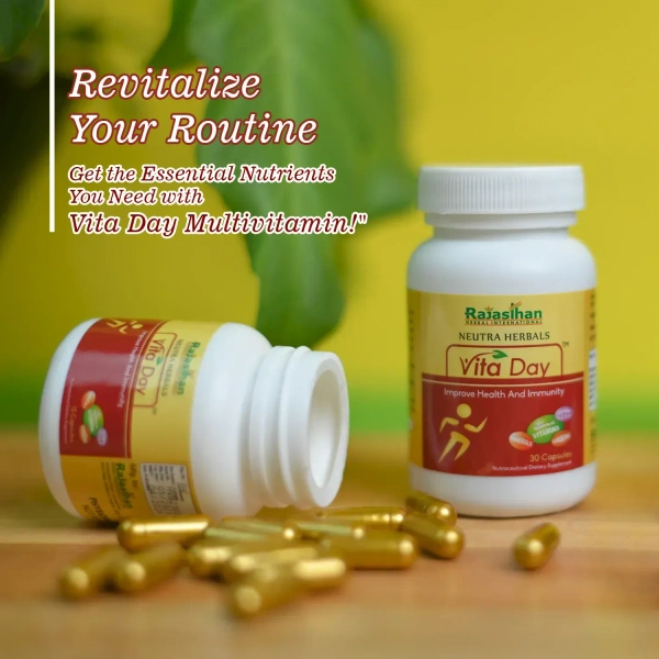 RAJASTHAN HERBALS  Vita Day Capsule - Rajasthan - 60 Capsules