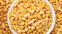 Chana Dal - 500GM