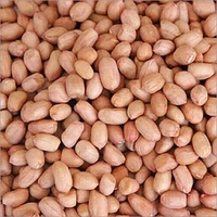 Moongfali Dane - 1kg