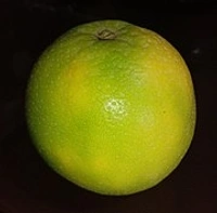 मुसम्बी 