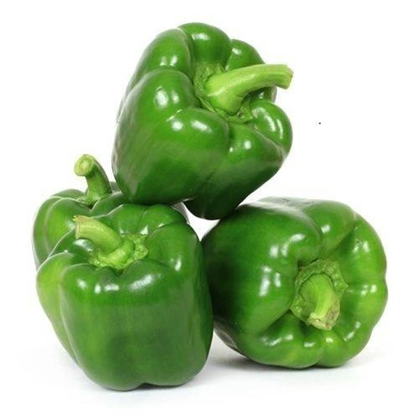 शिमला मिर्च 