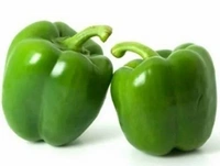शिमला मिर्च 