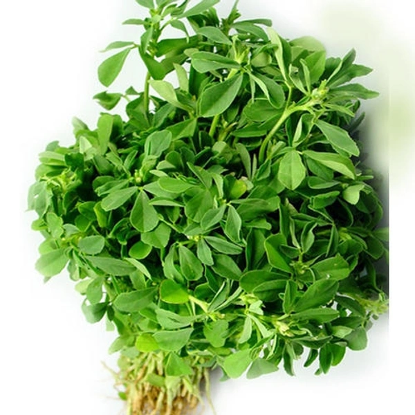 Highzinc Green Fenugreek (Methi)