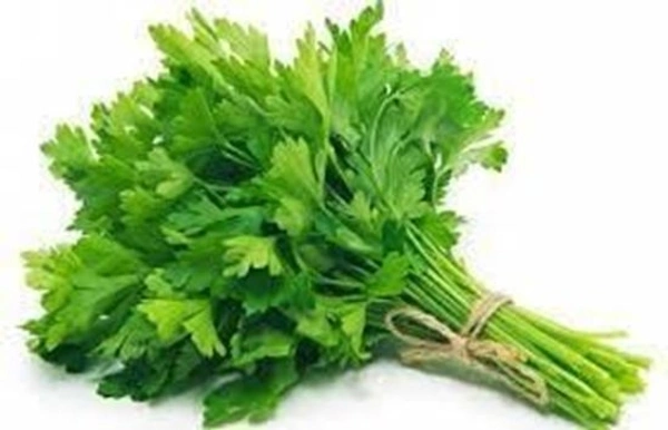 Coriander Bunch (Dhaniya Patta)