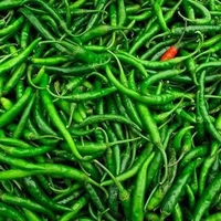 Green Chili (Hari Mirch)