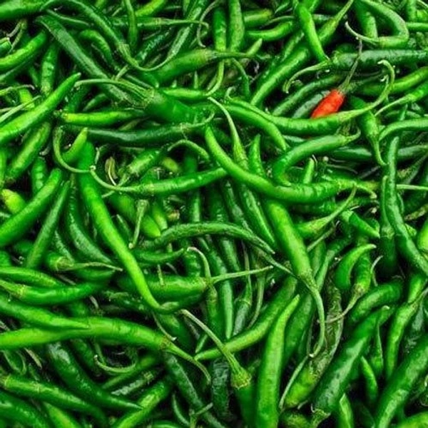 Green Chili (Hari Mirch)
