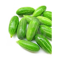   Pointed Gourd  (Parwal) 
