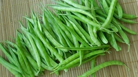 गोवरफल्ली