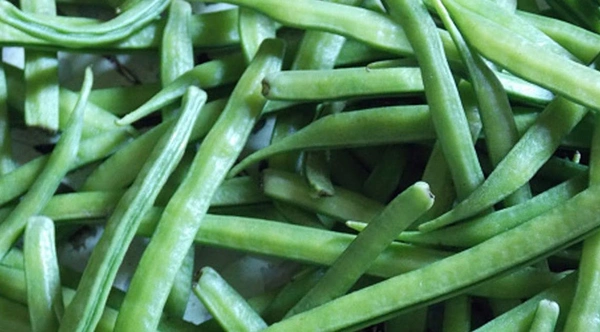 गोवरफल्ली