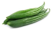 Snake Gourd 