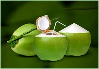 Coconet Water (Nariyal Pani) 1pic