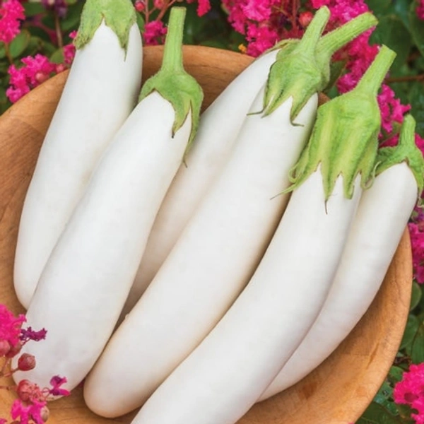 White Eggplant (White bungel) 300-200Gm