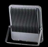SPARKLE LED Flood Light 200W IP66