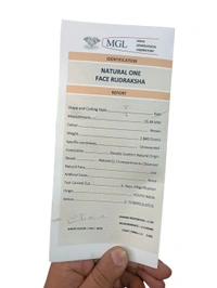 Natural Rudraksha - 1 Mukhi