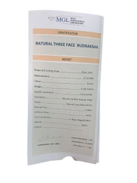 Natural Rudraksha - 3 Mukhi