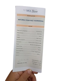 Natural Rudraksha - 4 Mukhi