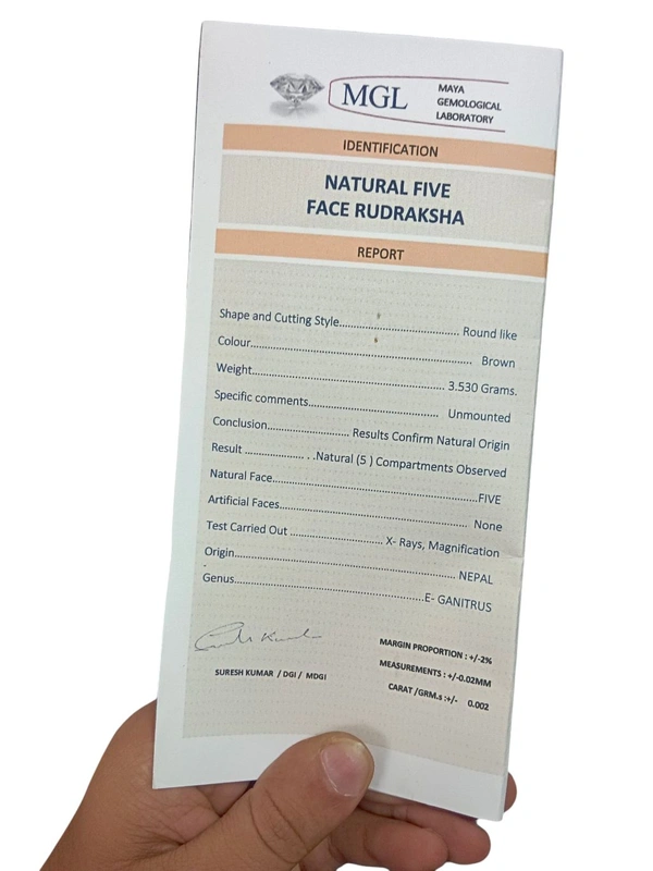 Natural Rudraksha - 5 Mukhi