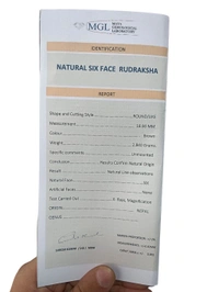 Natural Rudraksha - 6 Mukhi