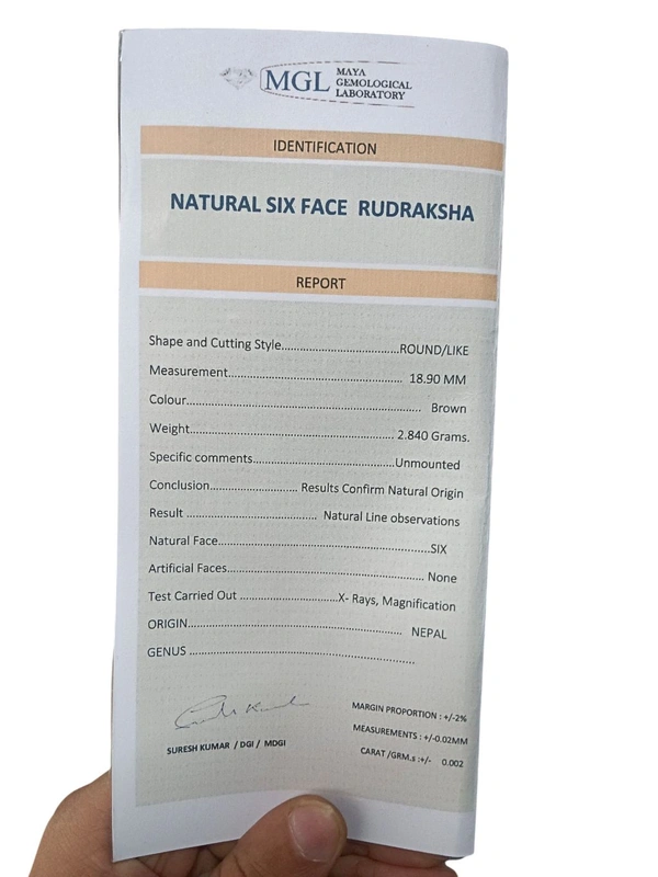 Natural Rudraksha - 6 Mukhi