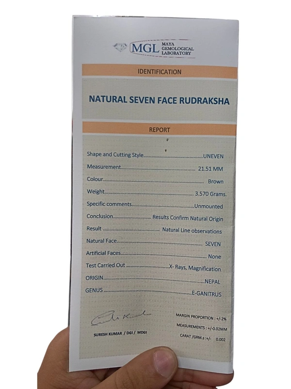 Natural Rudraksha - 7 Mukhi