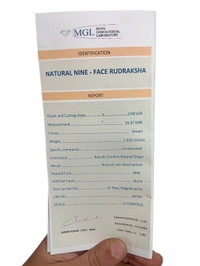 Natural Rudraksha - 9 Mukhi