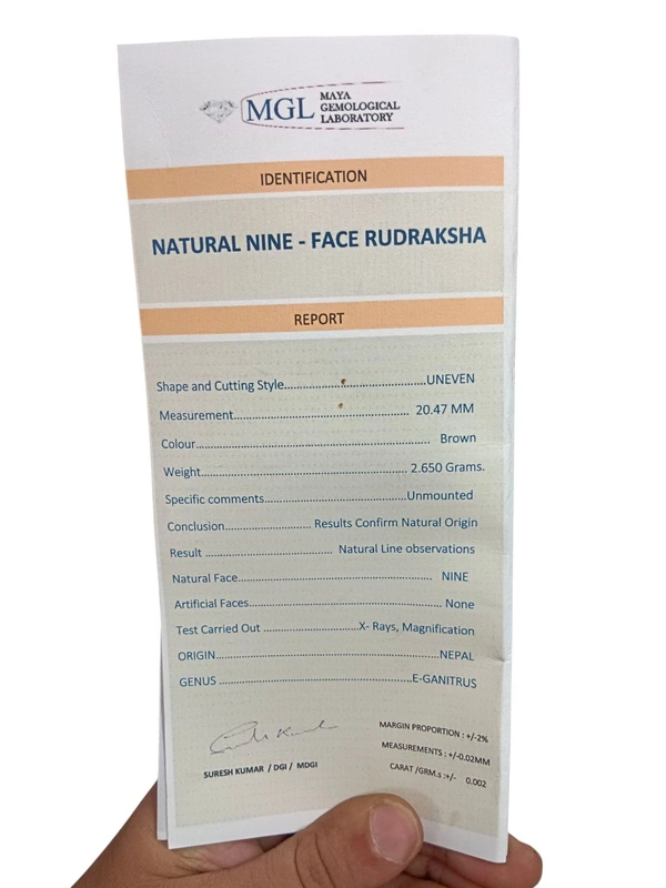 Natural Rudraksha - 9 Mukhi