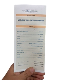 Natural Rudraksha - 10 Mukhi